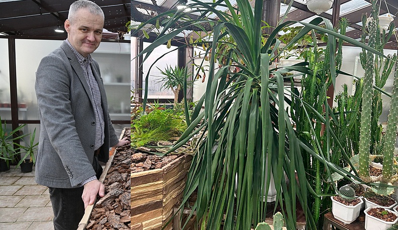 Целебное детище Флоры