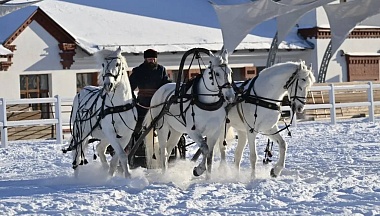 Официальный статус русской тройки открыл новые перспективы для Калужской области