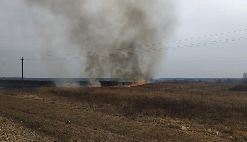 Защитники животных бьют тревогу и просят жителей области прекратить пал травы