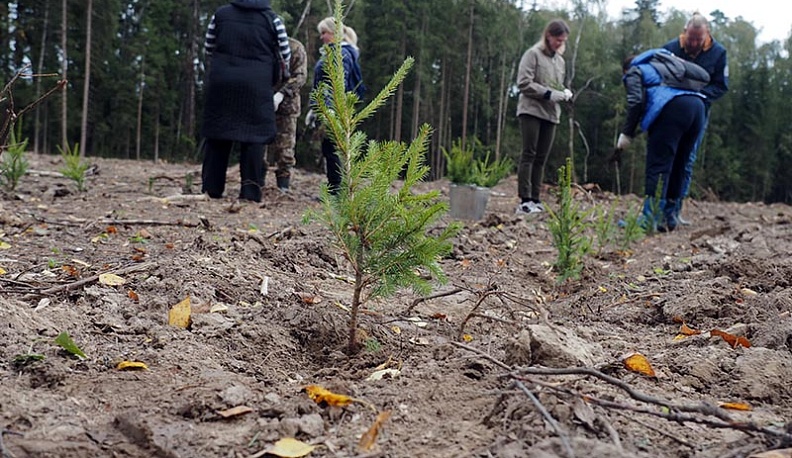 В Калужской области Российские дни леса калужане встретили с мечом Колесова 