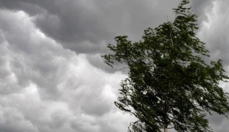 В Калужской области снова усилится ветер 