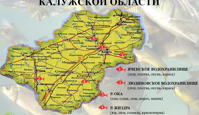 В Калужской области появилась карта мест для рыбалки