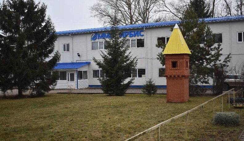 Элементы здорового питания