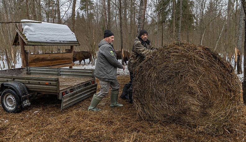 Сено…  по-царски