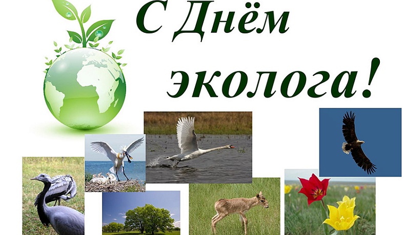 Члены Общественной палаты Калужской области поздравили экологов с профессиональным праздником. ВИДЕО