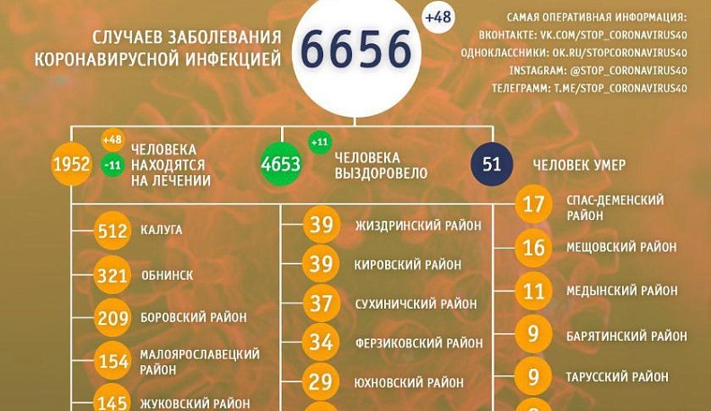 В Калужской области выявлено 48 новых случаев заболевания коронавирусом 
