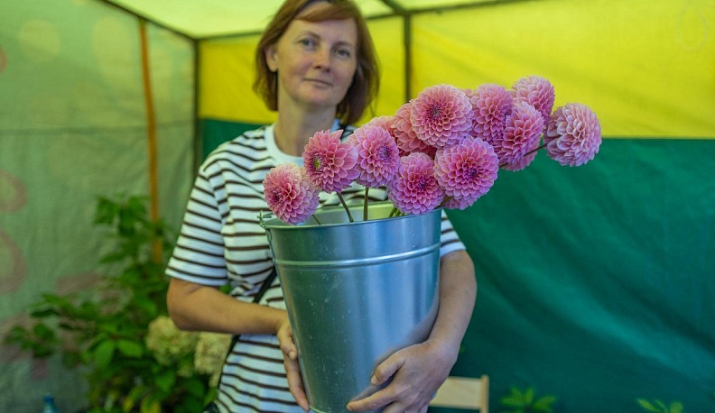 Урожайный бум