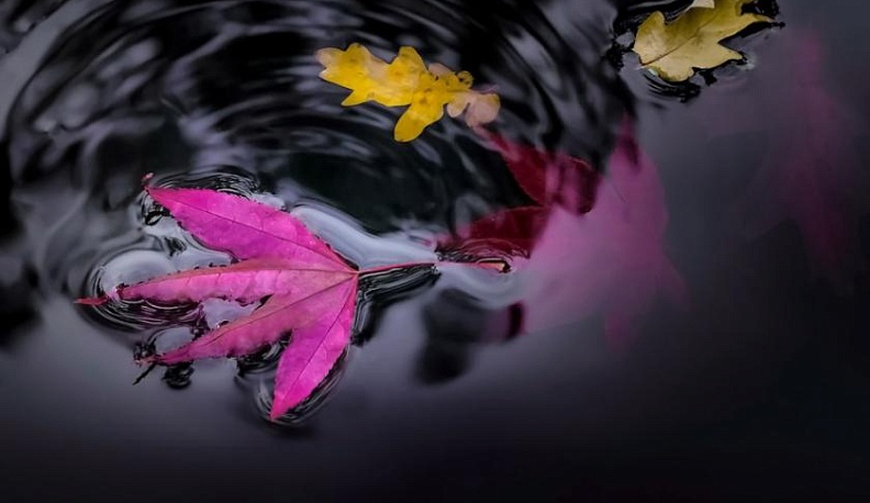 Роспотребнадзор обнародовал список запрещенных мест для купания