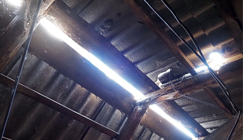 Каковы перспективы  на Перспективной?