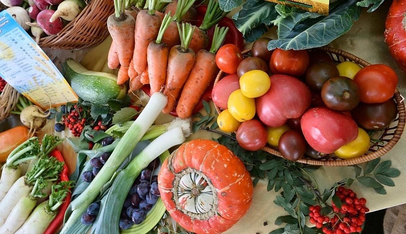 Владислав Шапша рассказал об организации сельхозярмарок