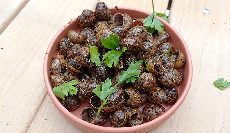 Чудо с домиком на спине