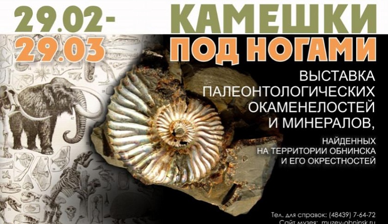 В Обнинске пройдет выставка окаменелых обитателей древнего моря
