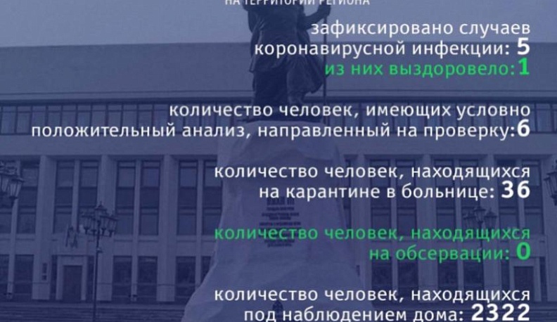 В Калуге зафиксировано еще два случая коронавирусной инфекции