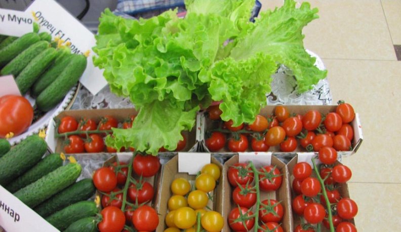 Врачи рекомендуют калужанам узнать свою норму калорий в день