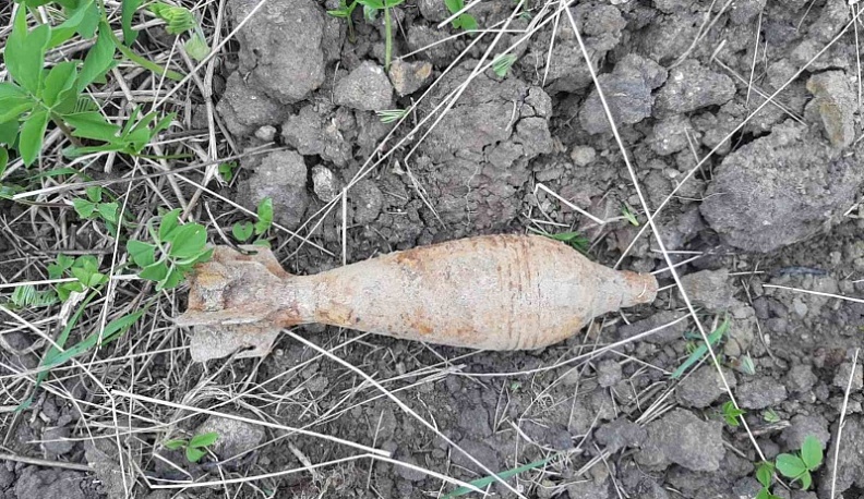 В Калужской области обезвредили две мины времён войны