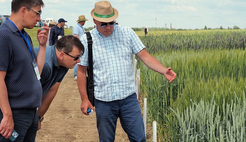 В регионе в 18-й раз прошел День Калужского поля