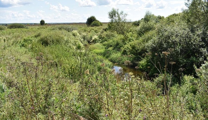 Средство от речной болезни
