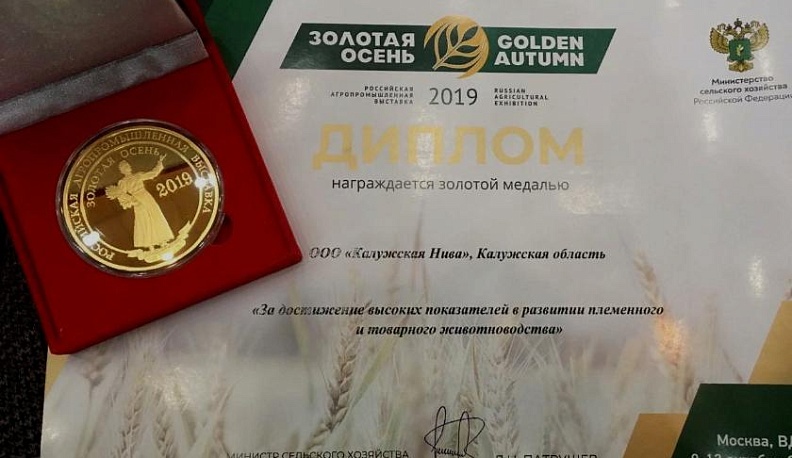 А осень и впрямь золотая! 