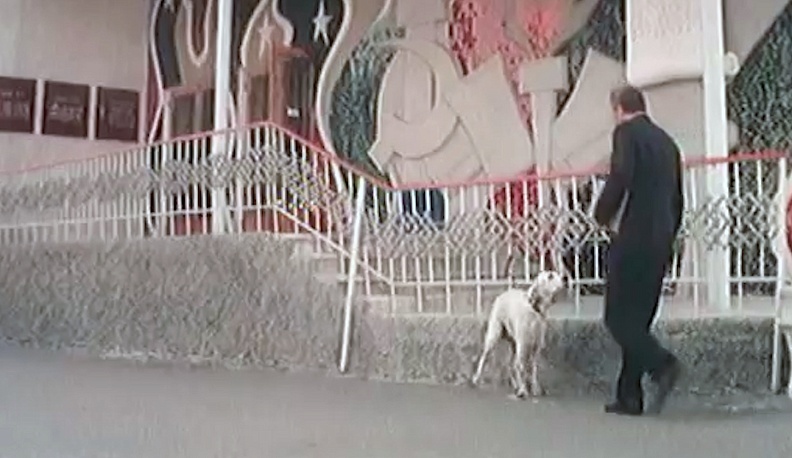 След белого бима