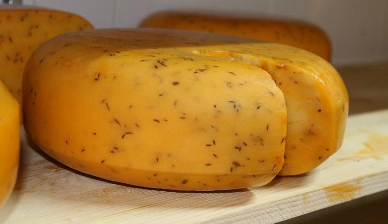 НОВИЧКИ ЯНТАРНОЙ КОМНАТЫ