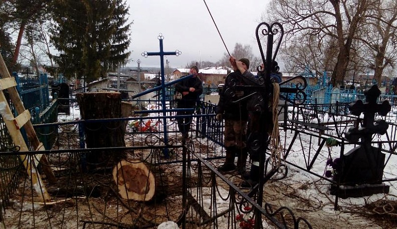 Деревья спилят, беседку отремонтируют