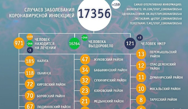 В Калужской области от коронавируса за сутки выздоровело 246 человек