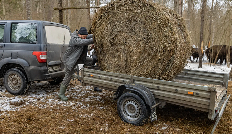 Грант Президентского фонда природы нацпарк  «Угра» потратит на зубров и дубы