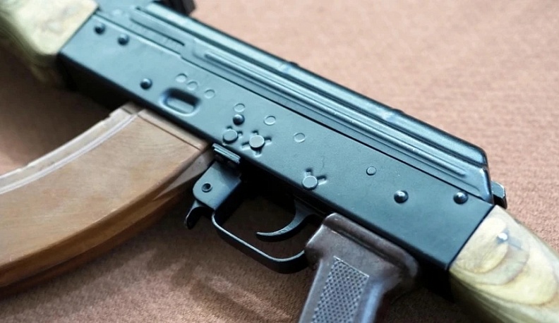  В Боровском округе застрелили двух домашних животных