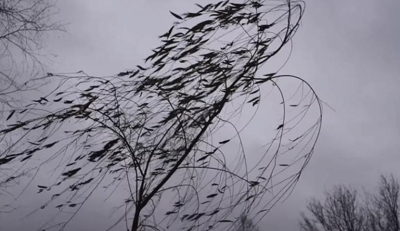 Четверг в Калужской области будет ветренным