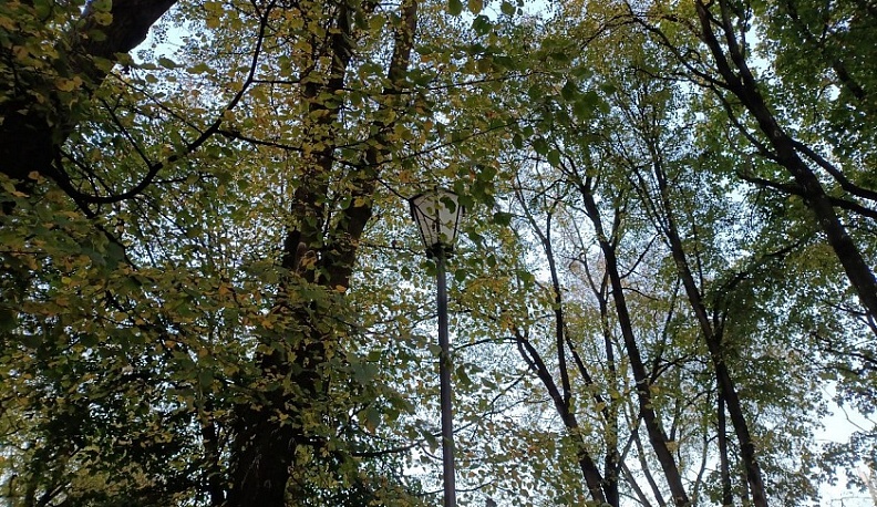 В Калуге прогнозируют похолодание