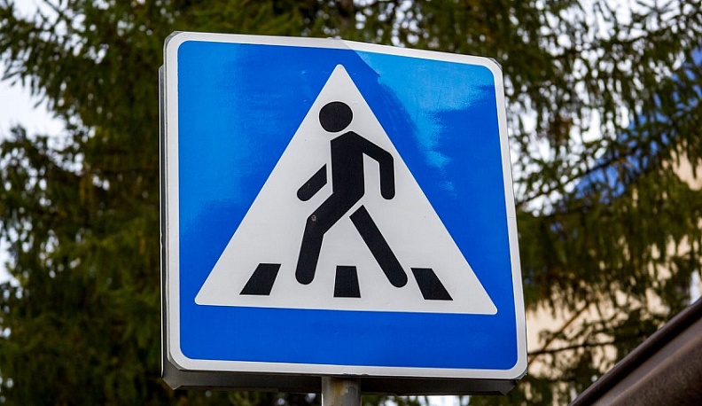 В Калужской области задержали похитителя дорожных знаков