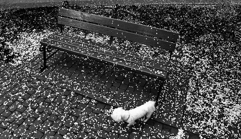 В Калуге начала работу выставка памяти фотожурналиста Георгия Орлова