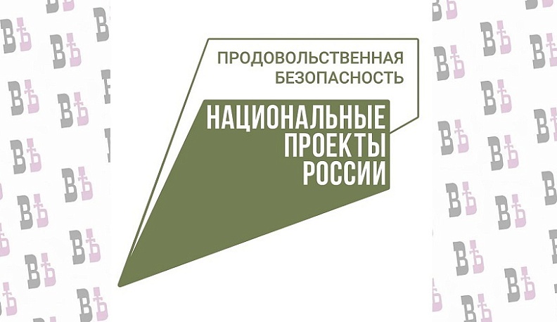 Калужских подростков приглашают в летнюю школу «АгроЭколог»