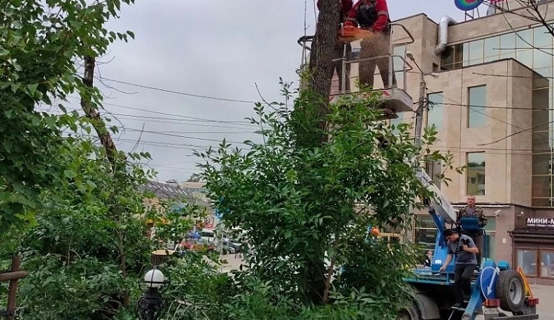 В скверах Калуги на минувшей неделе красили лавочки и убирали аварийные деревья