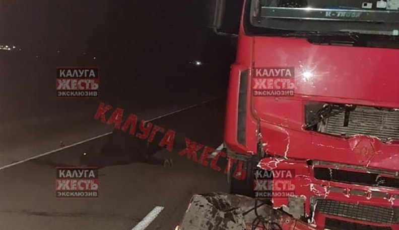 Под Сухиничами фура сбила быка