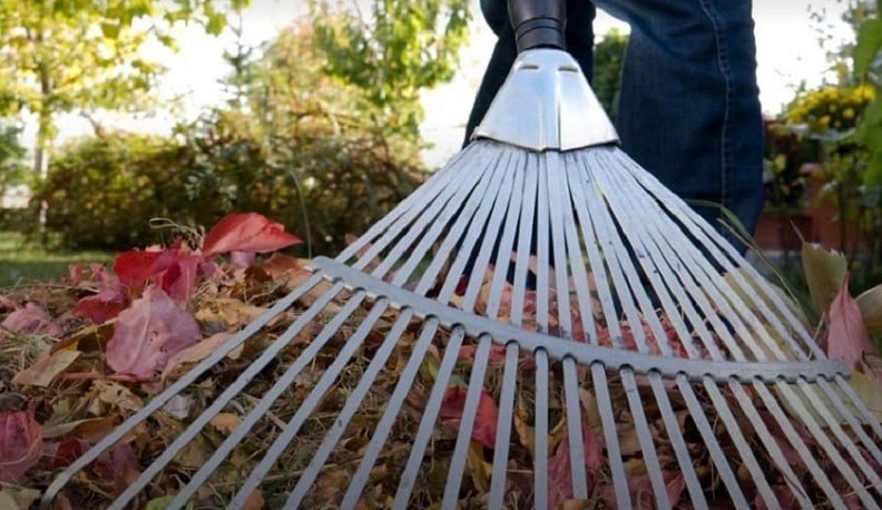 Около трёх тысяч калужан приняли участие в субботниках