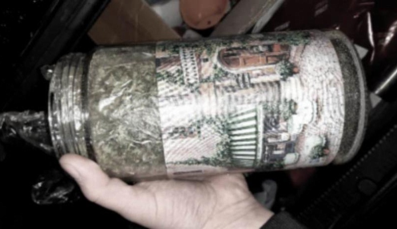 Житель Малоярославецкого района выращивал коноплю в лесу