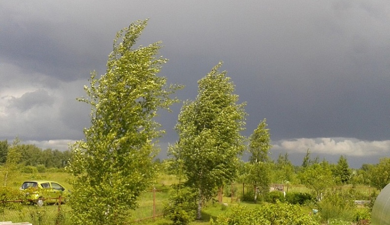 В Калуге сохранится пасмурная, но теплая погода