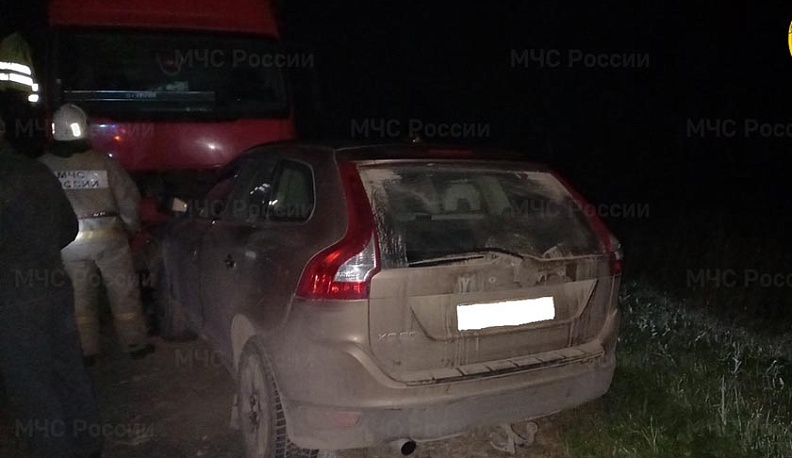 Под Сухиничами фура сбила быка