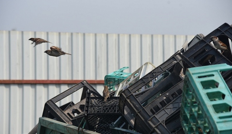 За неделю из Калужской области вывезли 145 кубометров ТКО