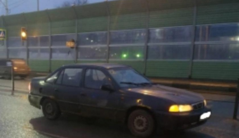 В Анненках сбили пешехода с собакой