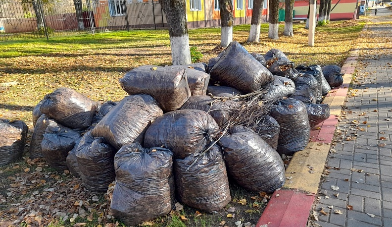 Жители Спас-Деменска провели осенний субботник