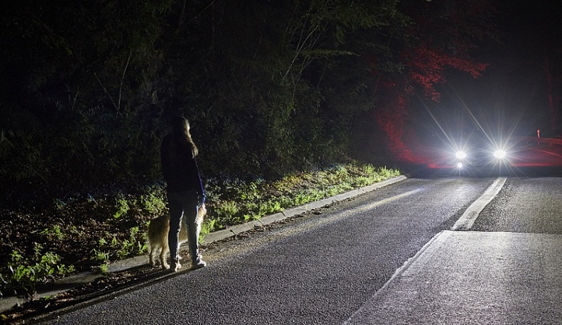Калужская полиция ищет очевидцев дорожного происшествия