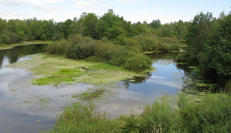 В Калужской области закрепили границы еще одного природного памятника