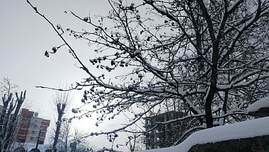 Погода в Калуге сохраняется холодной