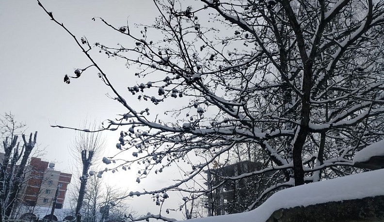 Погода в Калуге сохраняется холодной