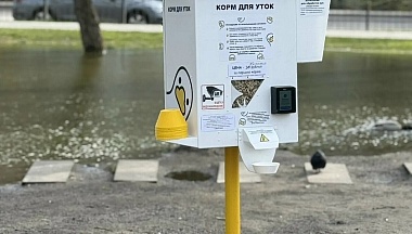 В Калуге, в сквере «Содружество» микрорайона Кубяка, поставили автомат с кормом для уток