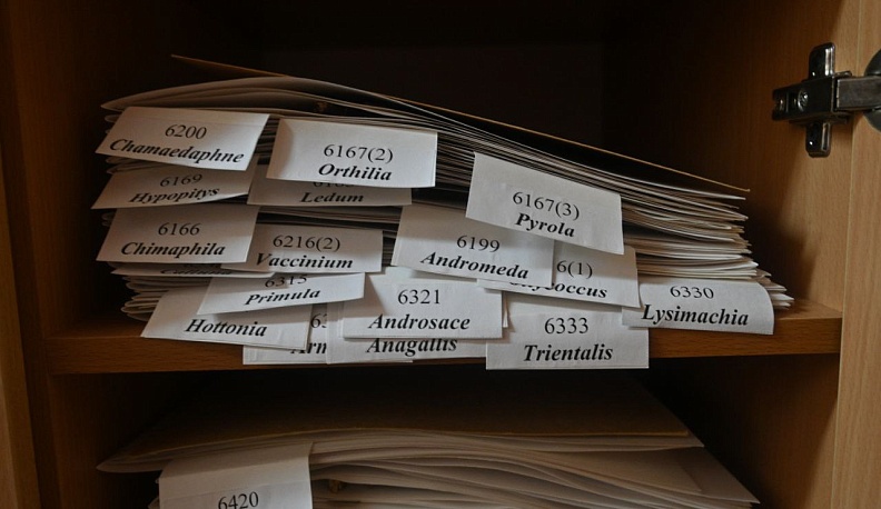 75-летний юбилей отметил гербарий Калужского госуниверситета