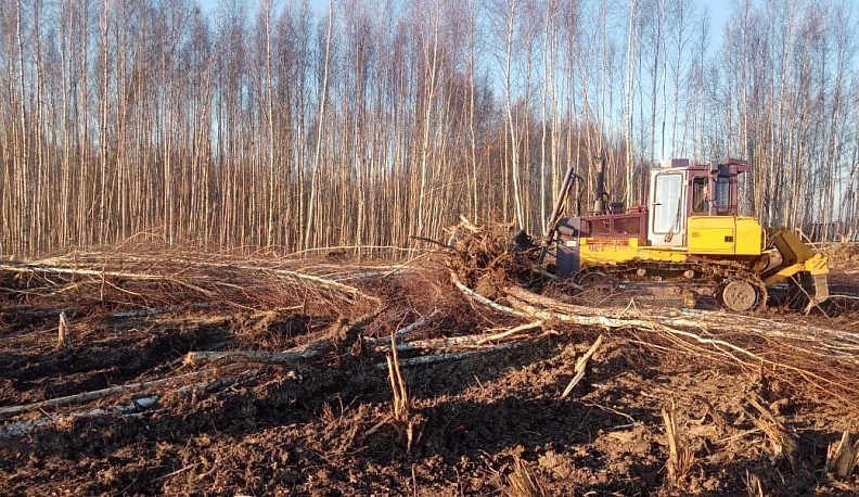 Владислав Шапша выйдет на федеральный уровень с предложением улучшить закон о землях сельхозназначения