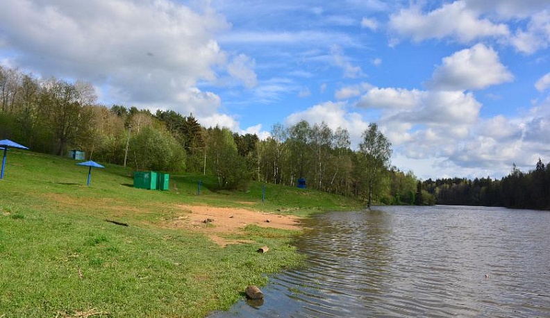 На пути к «Дивному берегу»